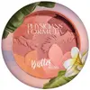 Image de Physicians Formula, Fard à joues, Matte Monoi Butter Blush 1711951E (Mauvy Matter)