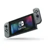 Image de SWITCH STD GRISE