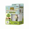 Image de ANIMAL CROSSING HAPPY HOME DESIGNER + AMIIBO MIX 3DS Nintendo 3DS