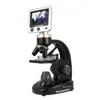 Image de Celestron CM44341 microscope 1600x Microscope numérique