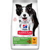 Image de Hill's Science Plan Mature Adult Senior Vitality Medium poulet pour chien - 2,5 kg