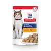 Image de 12 x 85 g Hill's Science Plan Mature Adult 7+ poulet Pâtée pour chat