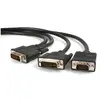 Image de StarTech Dvi   Dvi (1.80 m), Câble vidéo, Noir