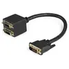 Image de Startech Câble Répartiteur Duplicateur Vidéo Dvi-d