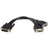 Image de Startech Câble Lfh 59 To Dual Vga Dms 59 20 Cm
