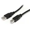Image de Startech Câble Usb 10 M