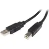 Image de StarTech USB à haut débit (1 m, USB 2.0), Câble USB