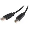 Image de Startech Câble Usb Vers B -m/m 2m 2.0 A