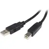 Image de Startech Câble Usb Vers B -m/m 50 Cm 2.0 A