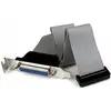 Image de StarTech Lp L'En Tête Du Port Parallèle Câble (0.40 m, Parallèle (imprimante)), Câble d'interface