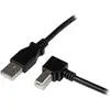 Image de StarTech Câble USB 2.0 A vers B (2 m, USB 2.0), Câble USB