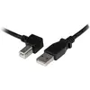 Image de StarTech Câble d'imprimante USB (2 m, USB 2.0), Câble USB
