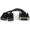 Image de Startech Câble Dms-59 Vers Double Displayport 20 Cm