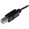 Image de Startech Câble Usb -b-c 1 M