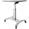 Image de StarTech Mobiler Sitz-/Steh-Arbeitsplatz, Réhausseur pour moniteur, Noir, Argent