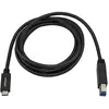 Image de StarTech USB C   USB B (2 m, USB 3.2 Gen 2), Câble USB