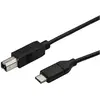 Image de StarTech USB C   USB B (0.50 m, USB 2.0), Câble USB