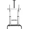 Image de StarTech STNDMTV100 Support TV (100 pouces) (100 kg, 60" - 100"), Pied TV, Argent, Noir