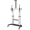 Image de Startech Chariot Tv Stndmtv100 100''