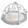 Image de INGENUITY Tapis deveil Sheppys SpotTM Plush Activity Gym - CorrieTM