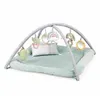 Image de INGENUITY Tapis d éveil au sol bébé Calm Spring E tra moelleu 6 jouets mutil sensoriels d
