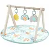 Image de Ingenuity, Tapis d'éveil + arche d'activité, Spielmatte
