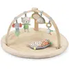 Image de Ingenuity, Tapis d'éveil + arche d'activité, - Every Season  Plush Lambswool Play Gym - (IN-16969)