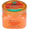 Image de Tree Hut, Gel douche, Sunkissed Poppy (510 ml)