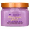 Image de TREE HUT Moonlight Glow Shea Sugar Scrub Gommage corps 1000 g