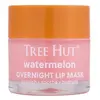 Image de TREE HUT Watermelon Overnight Lip Mask Masque lèvres 1000 g