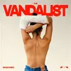 Image de Vandalist Édition Limitée Vinyle album
