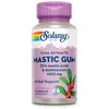 Image de Solaray Capsules Mastic Gum 500mg 45 Unités One Size