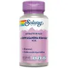 Image de Solaray Capsules Ashwagandha Ksm-66 Plus 60 Unités One Size