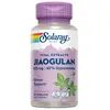 Image de Solaray Capsules Jiaogulan 410mg Mood 60 Unités One Size