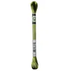 Image de Fil à broder Mouliné Satin 8 mètres - DMC(...) - Vert (S472)