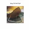 Image de The Soul Cages (LP), Disque vinyle