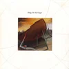 Image de Soul cages (1991) [Vinyl LP] en occasion ou reconditionné