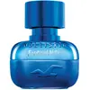 Image de Hollister Festival Nite pour lui - Eau de Toilette