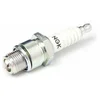 Image de Bougie D'allumage Ngk B10eg