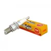 Image de 1 Bougie D'allumage Ngk 4929