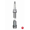 Image de 1 Bougie D'allumage Lgp Laserline Ngk Ilfr7h