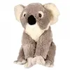 Image de Peluche Cuddlekins Koala