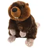 Image de Wild Republic castor junior 30 cm en peluche marron