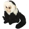 Image de Wild Republic singe en peluche junior 20 cm en peluche noir/blanc