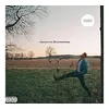 Image de American Heartbreak Vinyle album