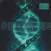 Image de Disque LP DISTURBED - Evolution 9362490507 REPRISE 2018 Europe Rock