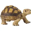 Image de SAFARI - tortue