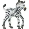 Image de SAFARI - zebre bebe