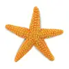 Image de Safari Ltd Figure Starfish Sea Life De 3 Années