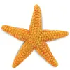 Image de Safari figure Étoile de mer junior 10,5 cm orange